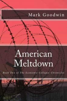 American Meltdown: Book Two of The Economic Collapse Chronicles