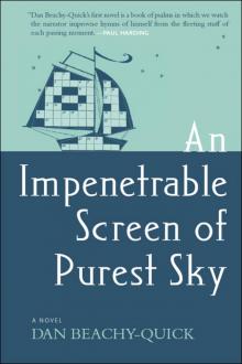 An Impenetrable Screen of Purest Sky