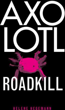 Axolotl Roadkill