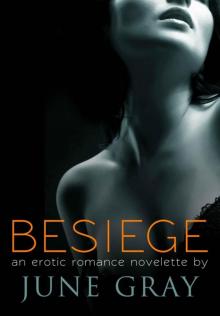 BESIEGE (DISARM Series #2)