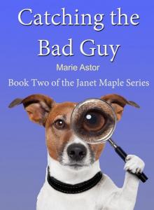 Catching the Bad Guy (Book Two) (Janet Maple Series)