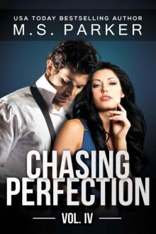 Chasing Perfection Vol. 4