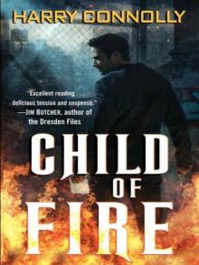 Child of Fire: A Twenty Palaces Novel