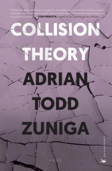 Collision Theory