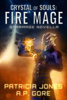 Crystal of Souls_Fire Mage_Star Mage Novella