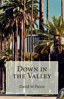 Down in the Valley (Vic Daniel Series)