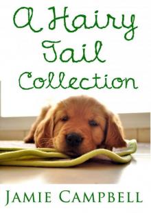 Hairy Tail Collection