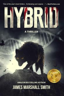 HYBRID: A Thriller