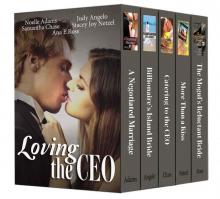 Loving the CEO (bundle of five romance novels)