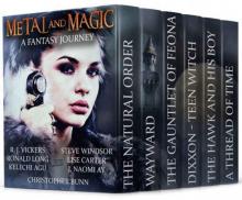 Metal and Magic: A Fantasy Journey