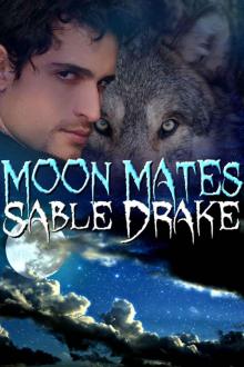 Moon Mates (Shameless Shifters)