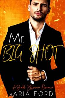 Mr Big Shot: A Sheikh Billionaire Romance