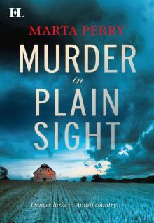 Murder in Plain Sight (2010)