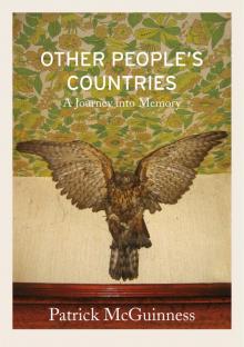 Other People's Countries: A Journey Into Memory