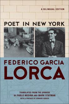 Poet in New York