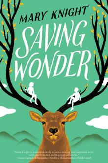 Saving Wonder