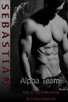 Sebastian: NAC & The Holly Group (Alpha Team Book 4)