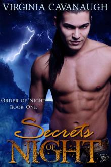 Secrets of Night (Order of Night)