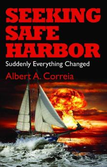 Seeking Safe Harbor: Suddenly Everything Changed (The Seeking Series)