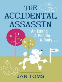 The Accidental Assassin