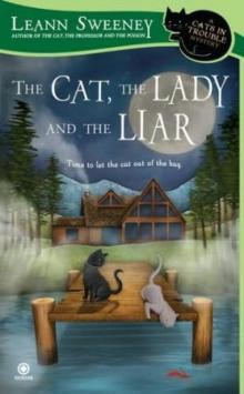 The Cat, the Lady and the Liar acitm-3