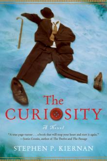 The Curiosity: A Novel