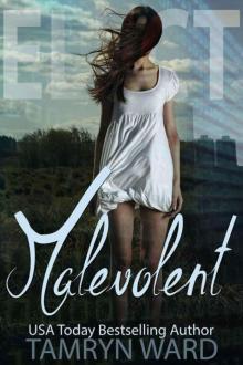 The Elect: Malevolent, a Dystopian Novel