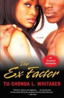 The Ex Factor: A Novel