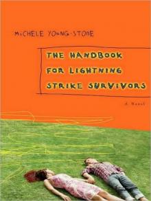 The Handbook for Lightning Strike Survivors