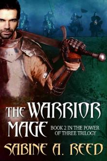 The Warrior Mage (The Power of Three Book 2)