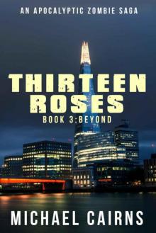 Thirteen Roses Book Three: Beyond: A Paranormal Zombie Saga