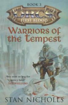 Warriors of the Tempest