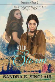 Wild Storm (The Unbridled Series Book 2)