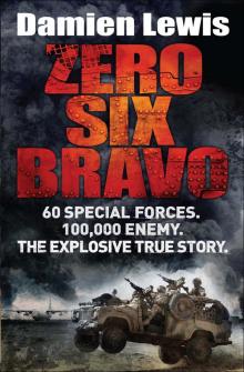 Zero Six Bravo