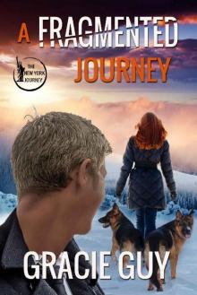 A Fragmented Journey (The New York Journey Book 1)