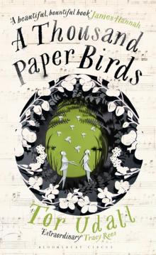 A Thousand Paper Birds