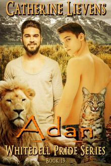 Adan