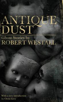 Antique Dust