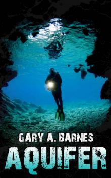 Aquifer: A Novel