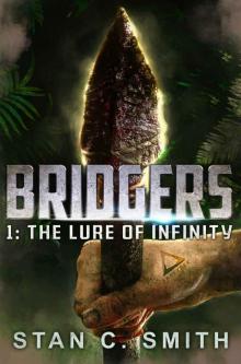 Bridgers 1_The Lure of Infinity