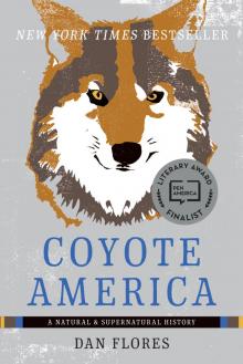 Coyote America