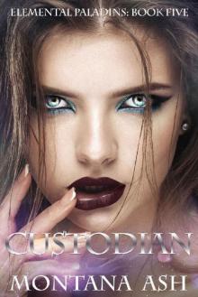 Custodian (Elemental Paladins Book 5)