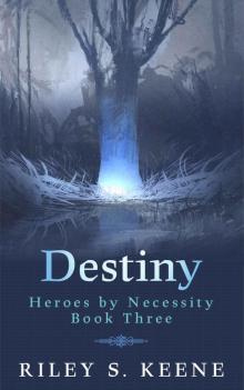 Destiny (Heroes by Necessity Book 3)