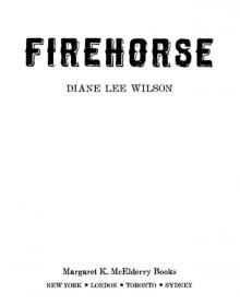 Firehorse (9781442403352)