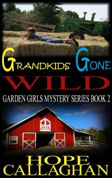 Grandkids Gone Wild (The Garden Girls Book 2)