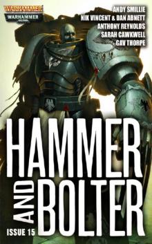 Hammer and Bolter 15