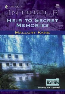 Heir to Secret Memories