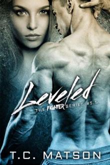 Leveled: The Fighter Series Novella #5.5