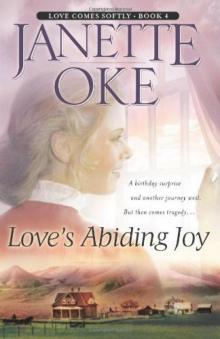 Love's abiding joy (Love Comes Softly #4)