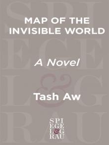 Map of the Invisible World: A Novel